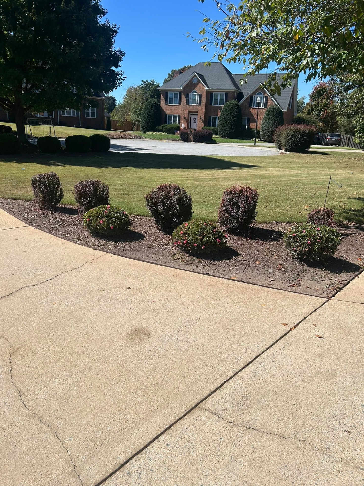 Trimmed loropetalum and azalea beds framing a manicured front lawn at an Upstate South Carolina home